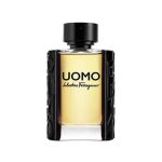 uomo salvatore ferragamo